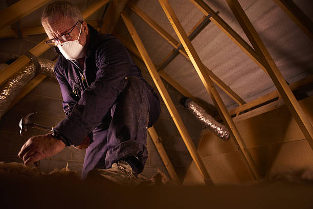 Best DIY Insulation Kits and Guidance in Fort Lee, NJ